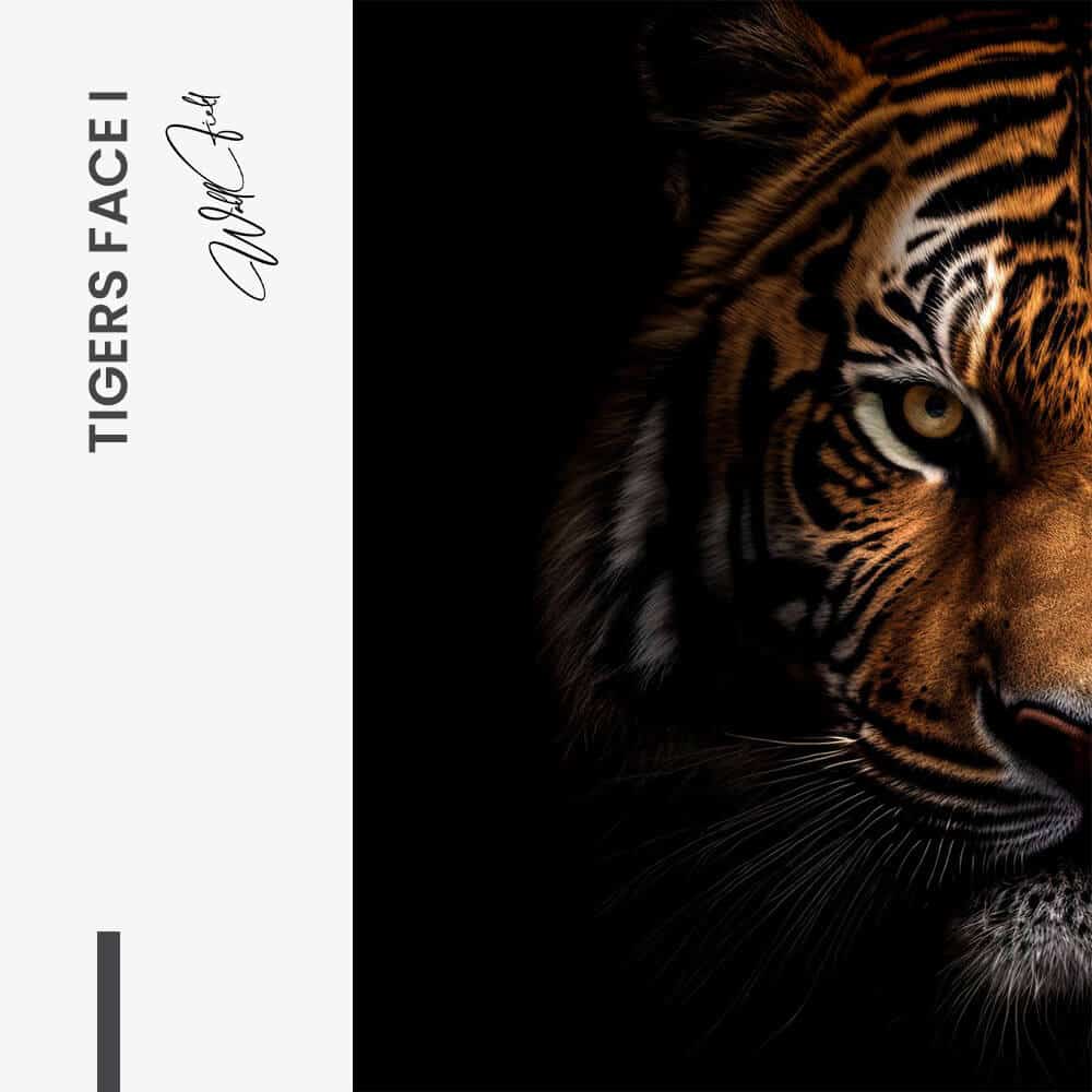 Bundle: "Tiger face" (2x)