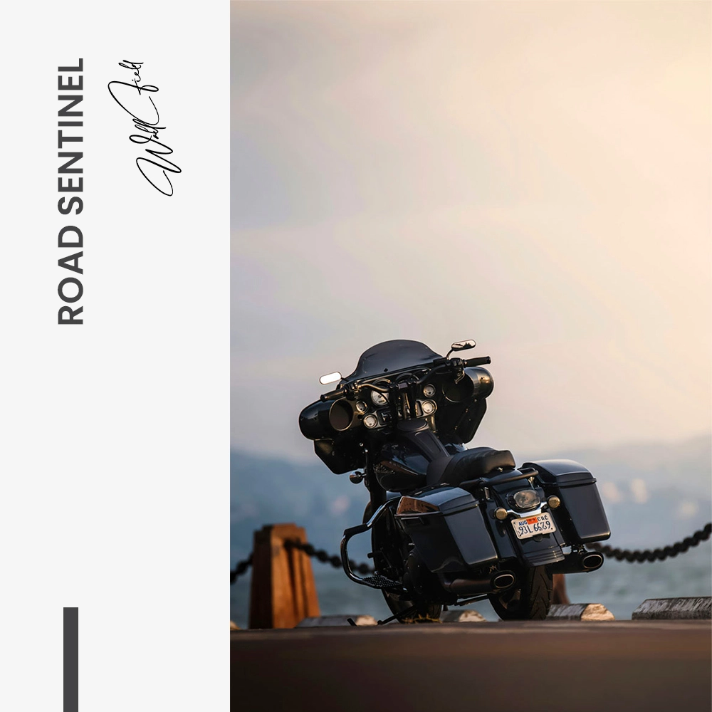 "Road Sentinel"