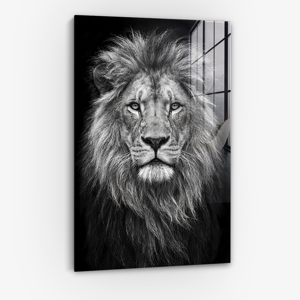 Safari V - Verre