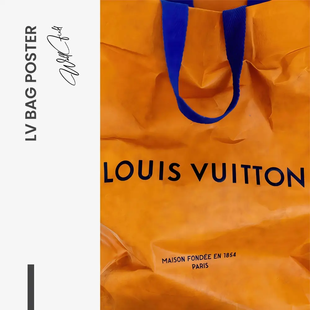 "LV Bag Poster"