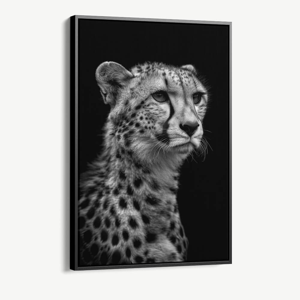 "Cheetah's View"