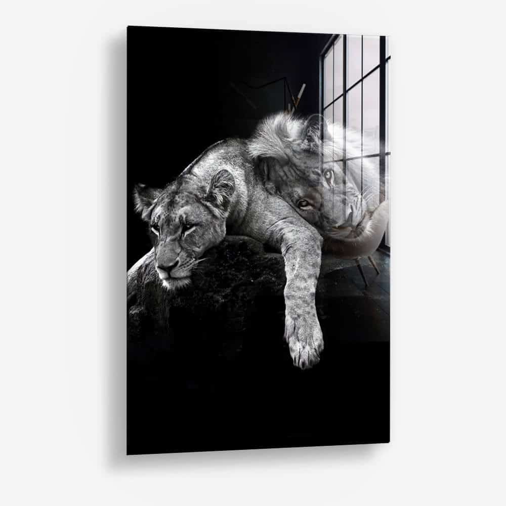 Lion Love – Verre