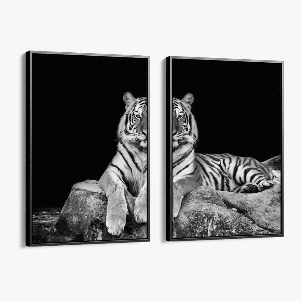 Bundle: "White Tiger" (2x)