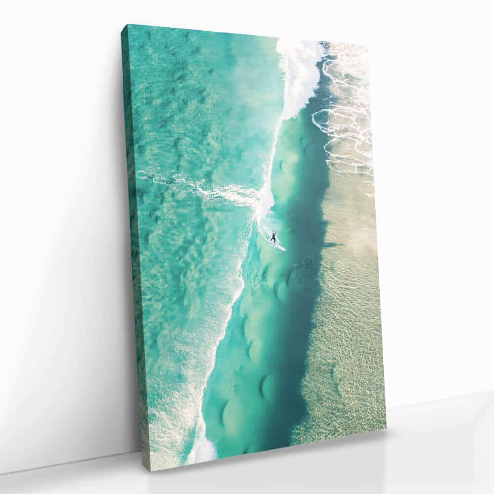 "The Surfer"