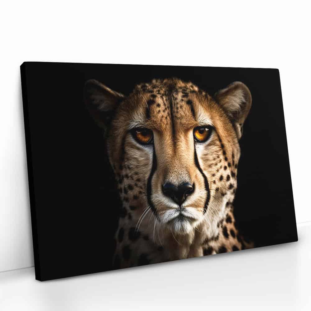 "The Cheetah"