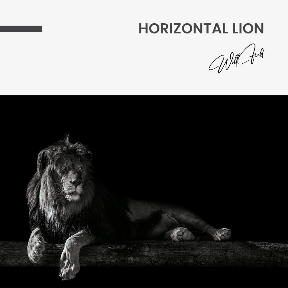 "Horizontal Lion"