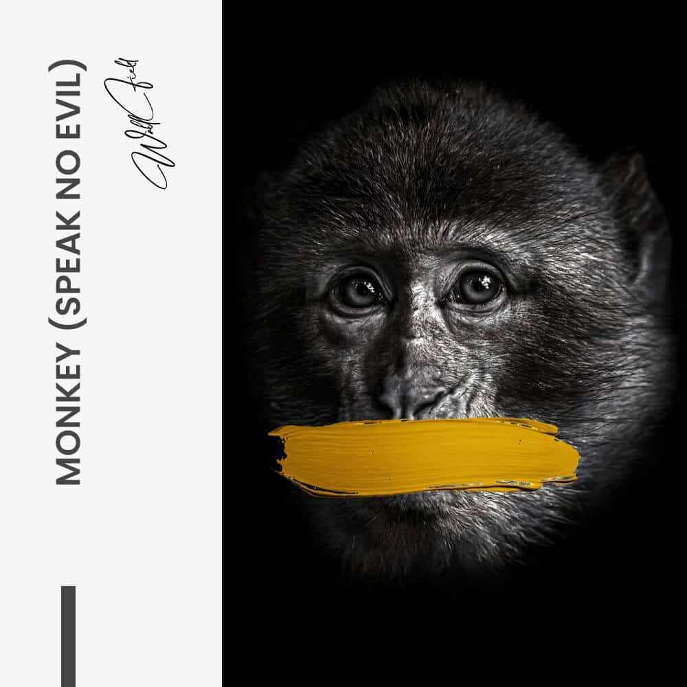 Monkey (speak no evil) - Verre