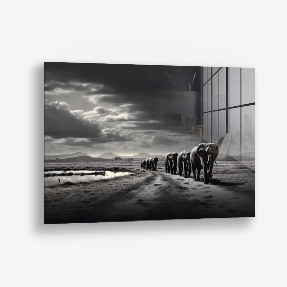 Elephant Family - Verre