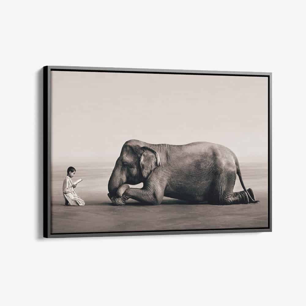 Éléphants