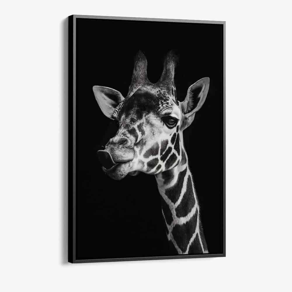 "Giraffe"
