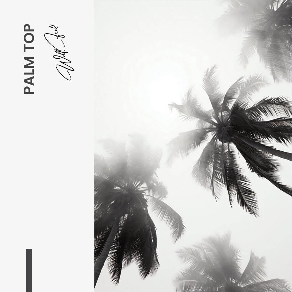 Palm top - Verre