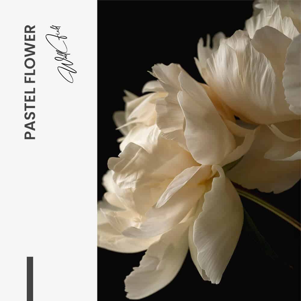 "Pastel Flower"