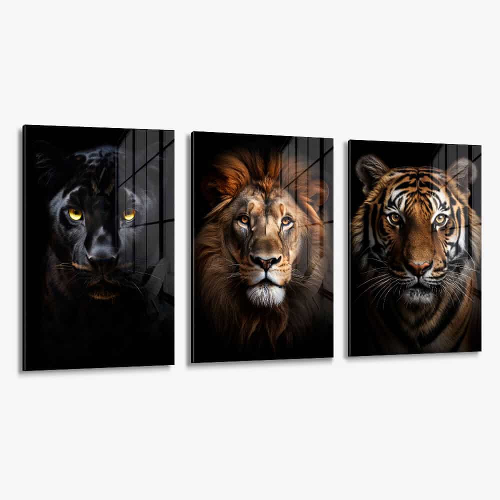 Bundel: "Big Cats" (3x) – Verre