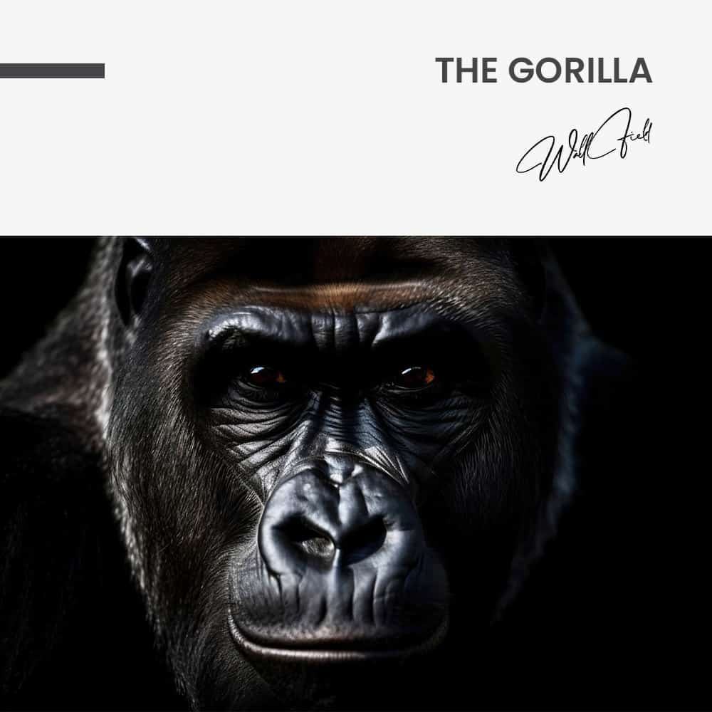 The Gorilla – Verre