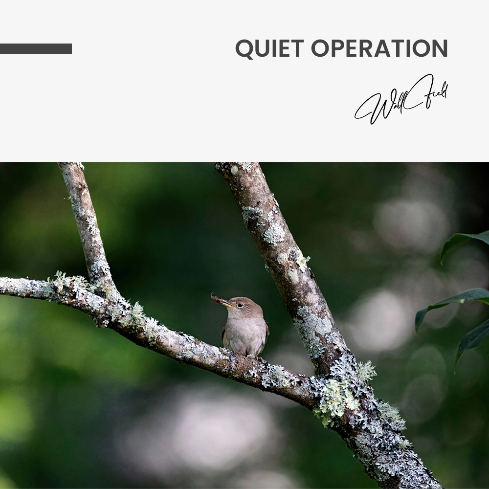 Quiet Operation – Verre