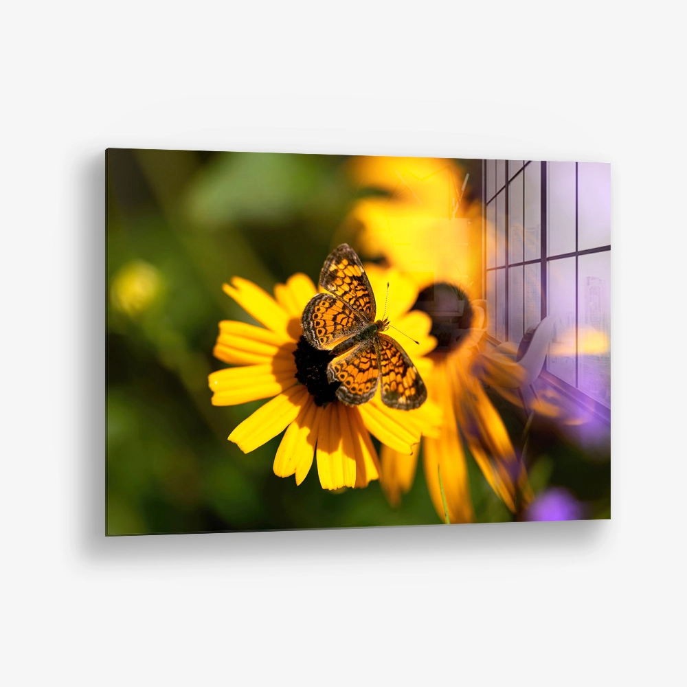 Petal Circuit – Verre