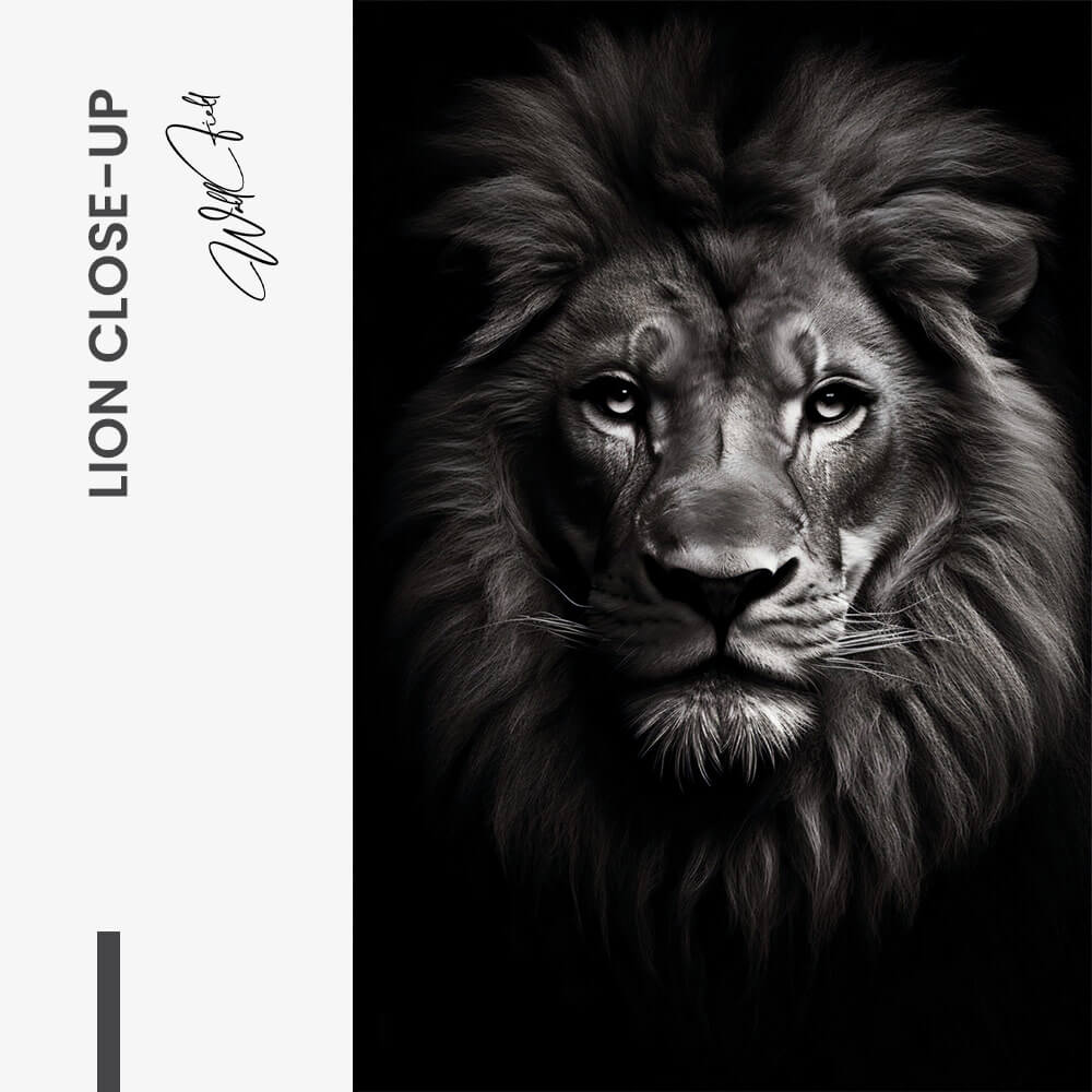 Lion Close-Up - Verre