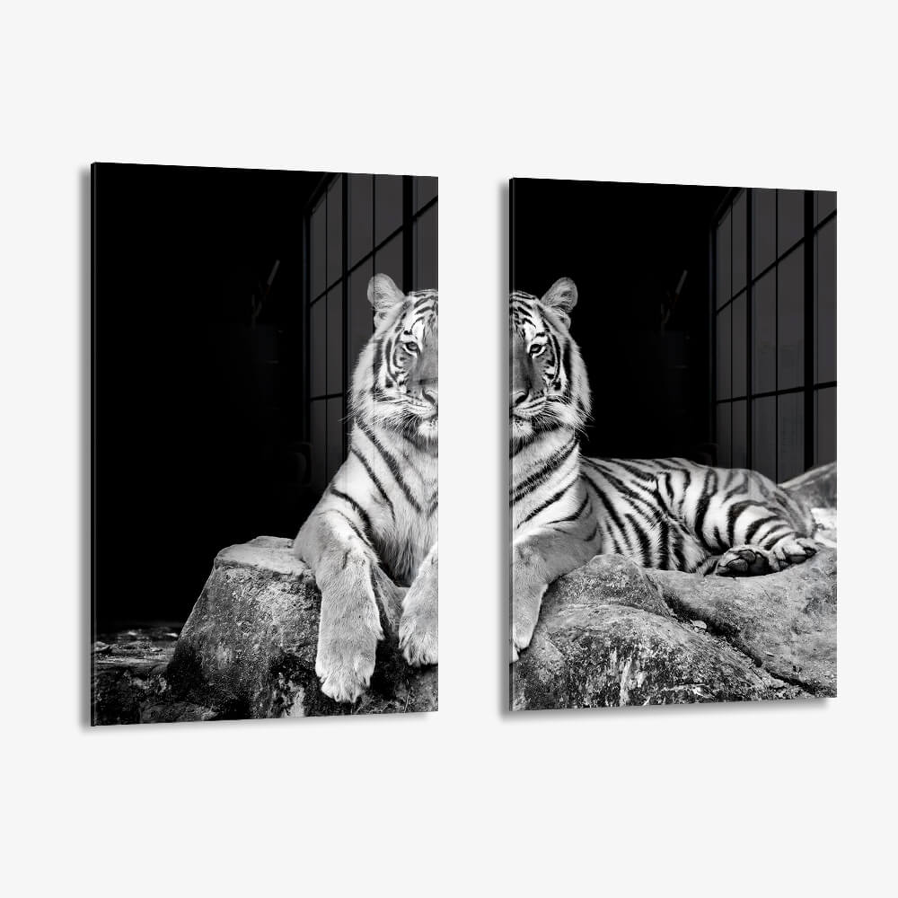 Bundle: "White Tiger" (2x) – Verre