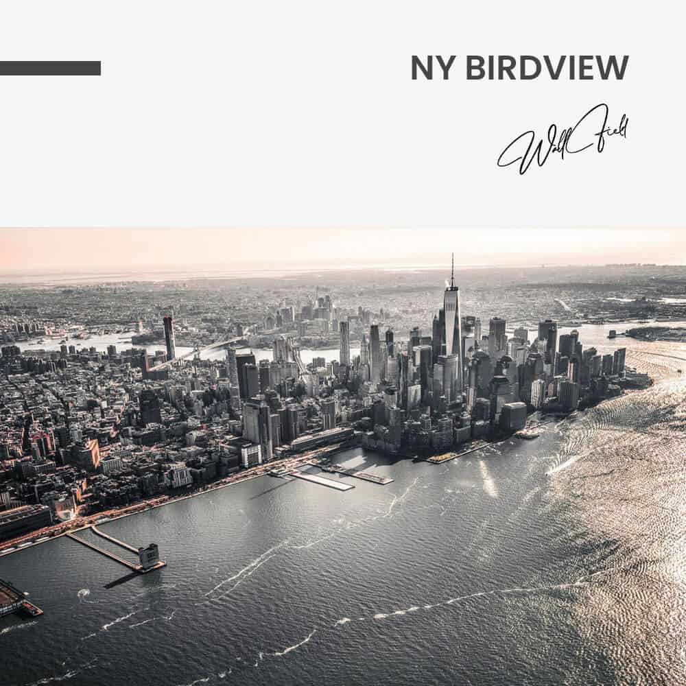 NY Birdview - Verre