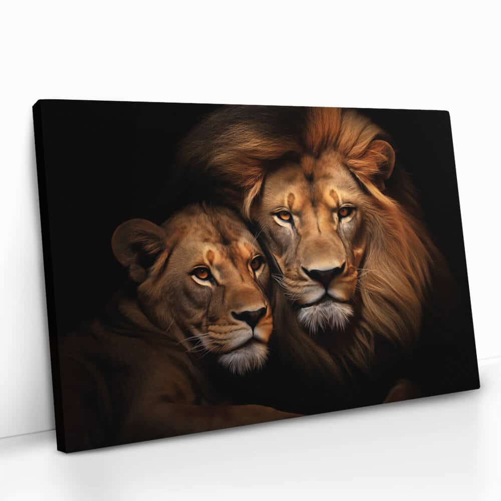 "Lion Couple HZ"