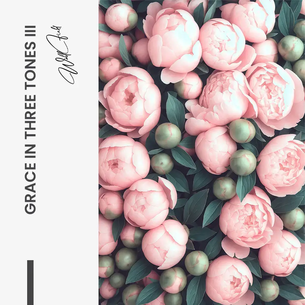 Bundle: "Grace in Three Tones" (3x) – Verre