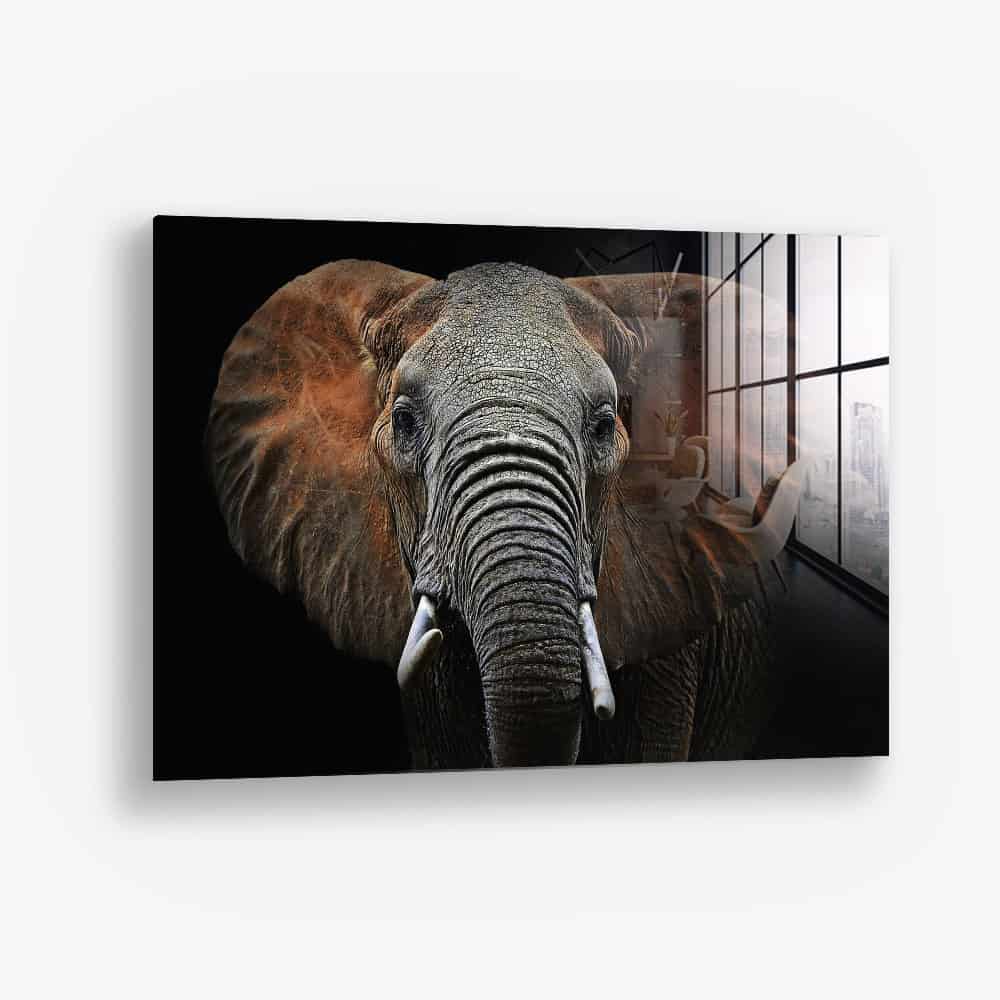Wild Elephant – Verre