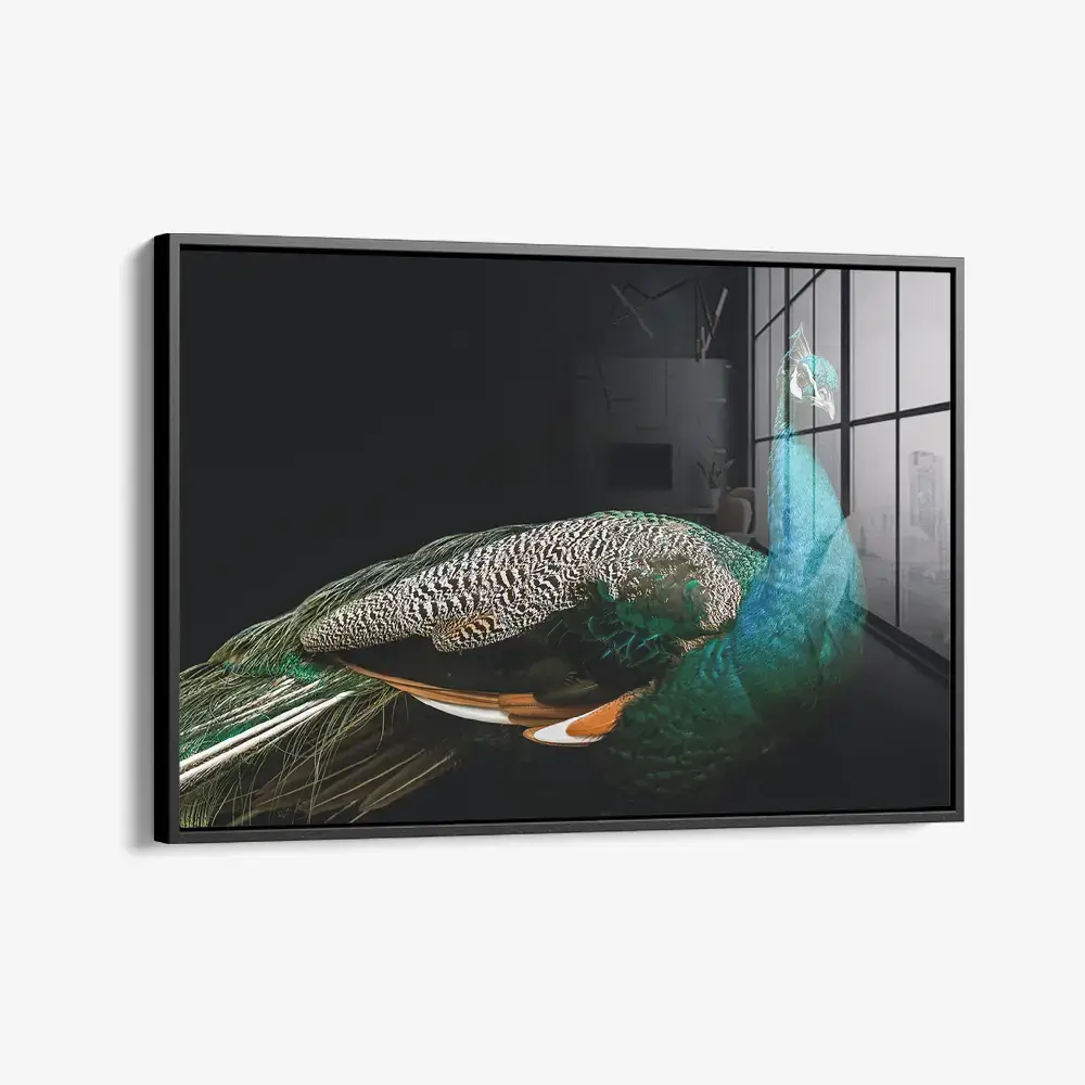 Peacock – Verre