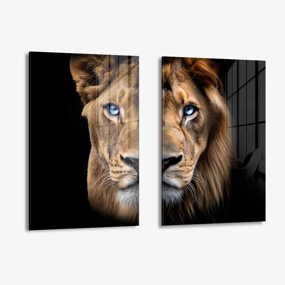 Bundle: "Blue Eyed Lions" (2x) – Verre