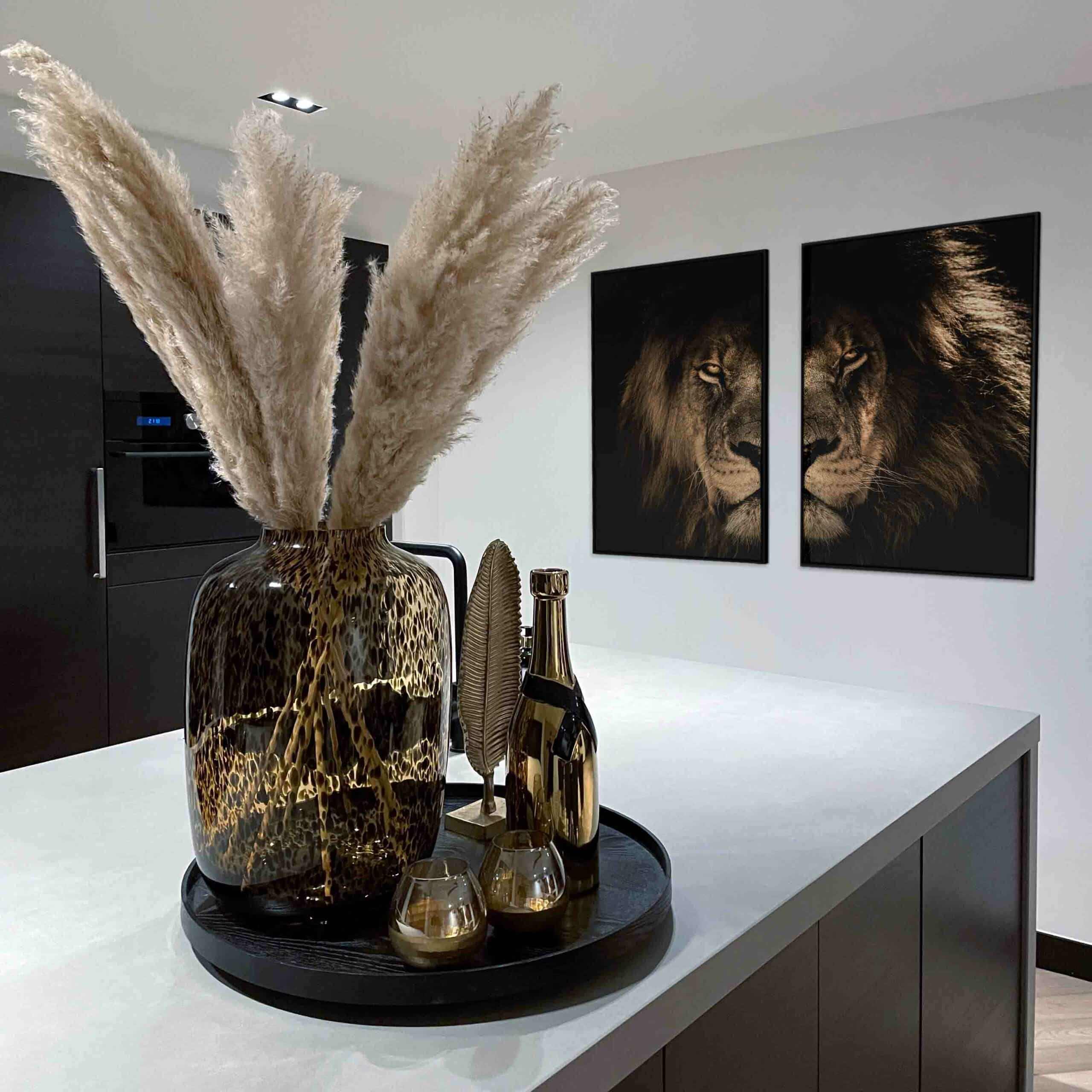 Bundel: Lion in the Dark (2x)