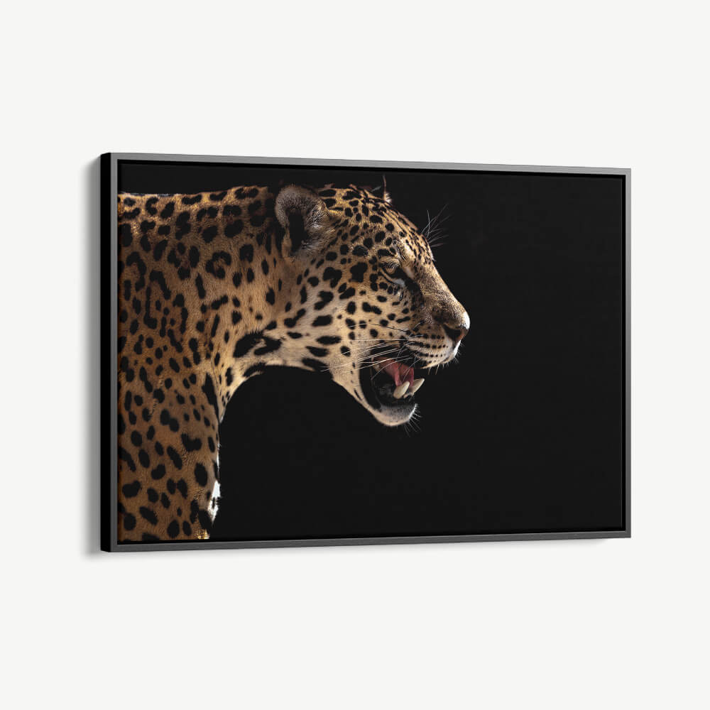 "Horizontal Jaguar"