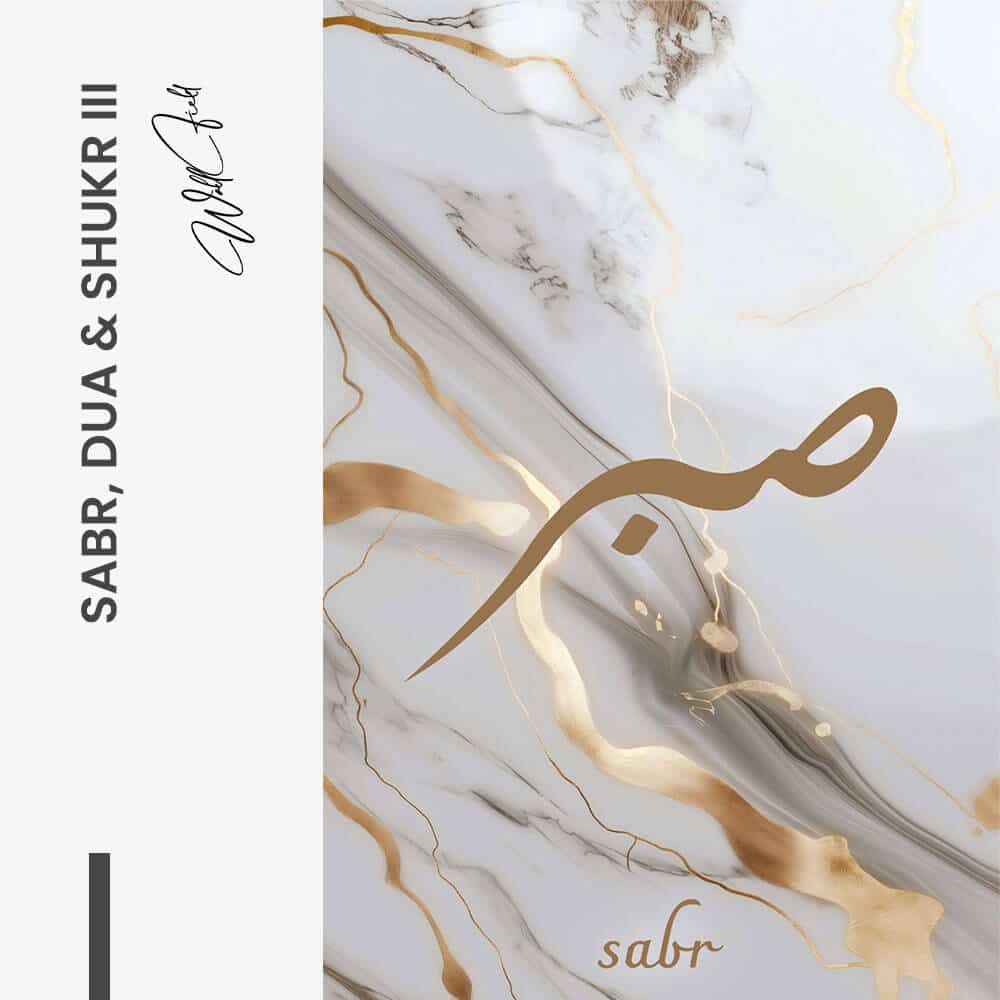Bundle: "Sabr, Dua & Shukr II" (3x)