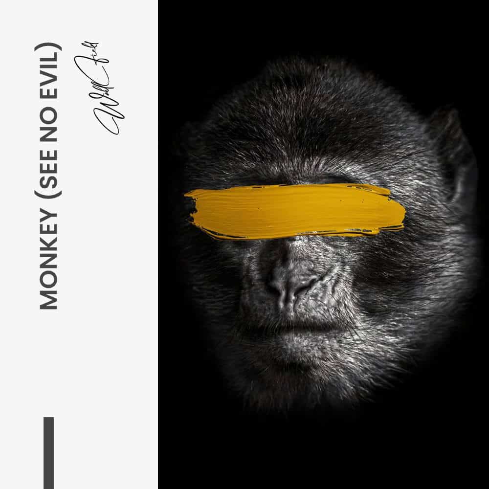 "Monkey (see no evil)"
