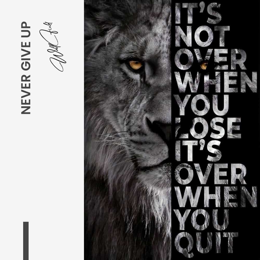 Never Give Up - Verre