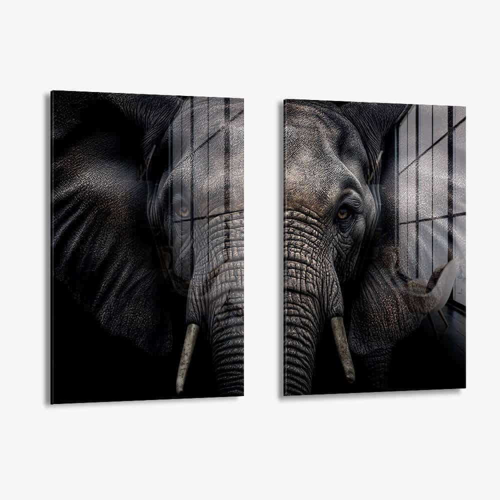Bundle: "Elephant" (2x) – Verre
