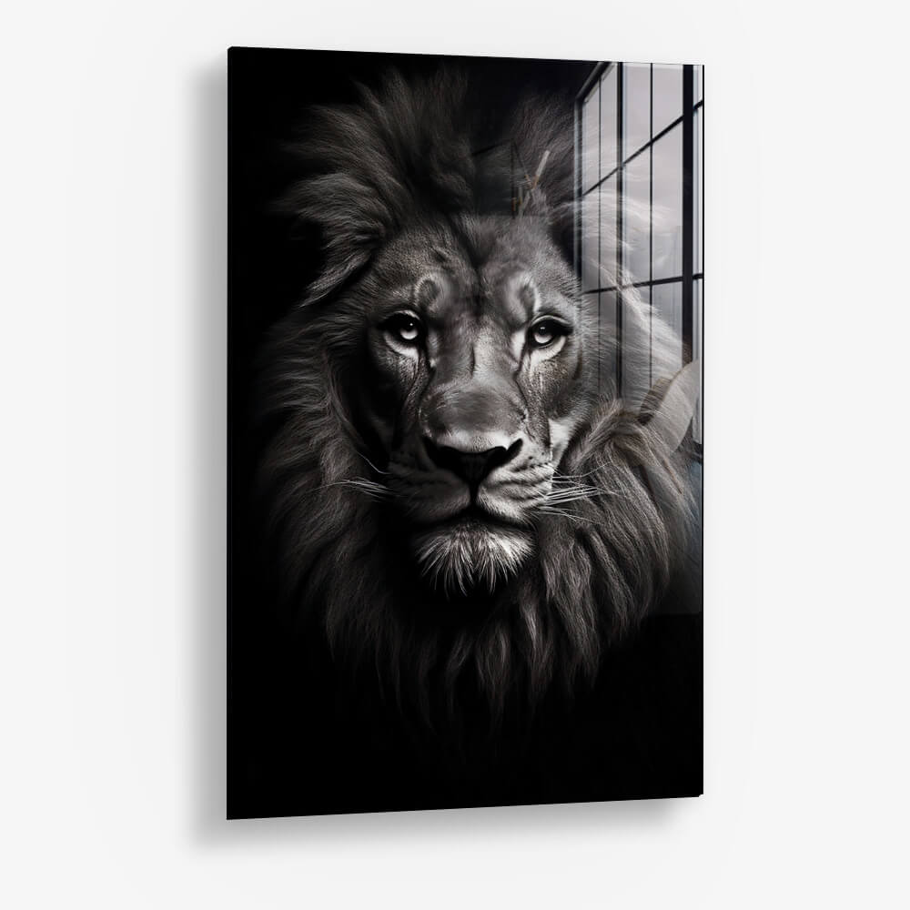 Lion Close-Up - Verre