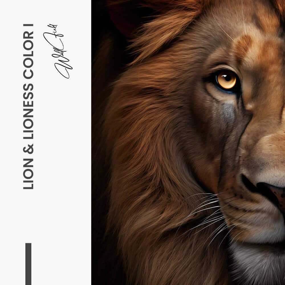 Bundle: "Lion & Lioness Color II" (2x) – Verre