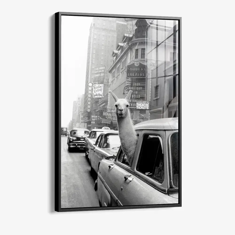 New York Lama - Verre
