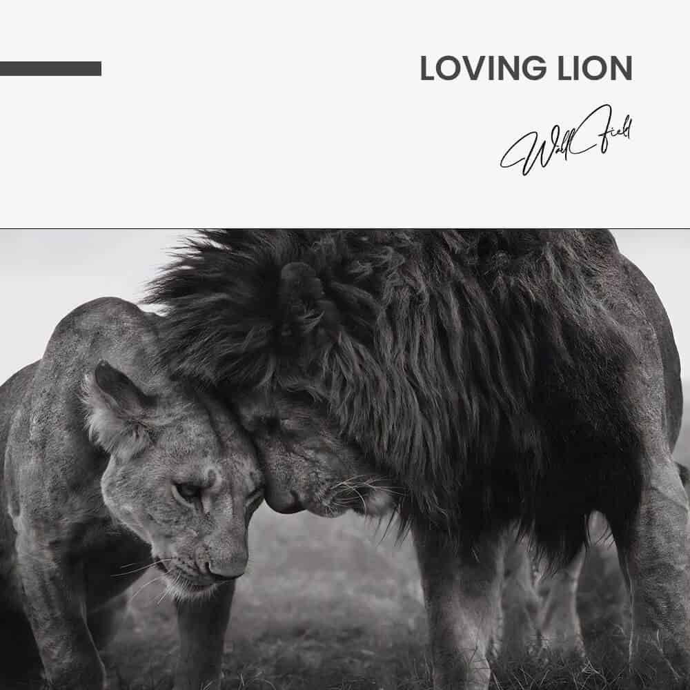 “Loving Lion”