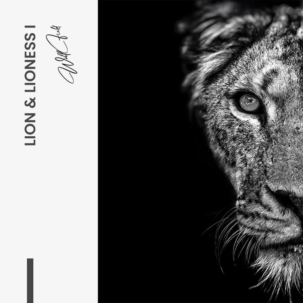 Bundle: "Lion & Lioness III" (2x) – Verre