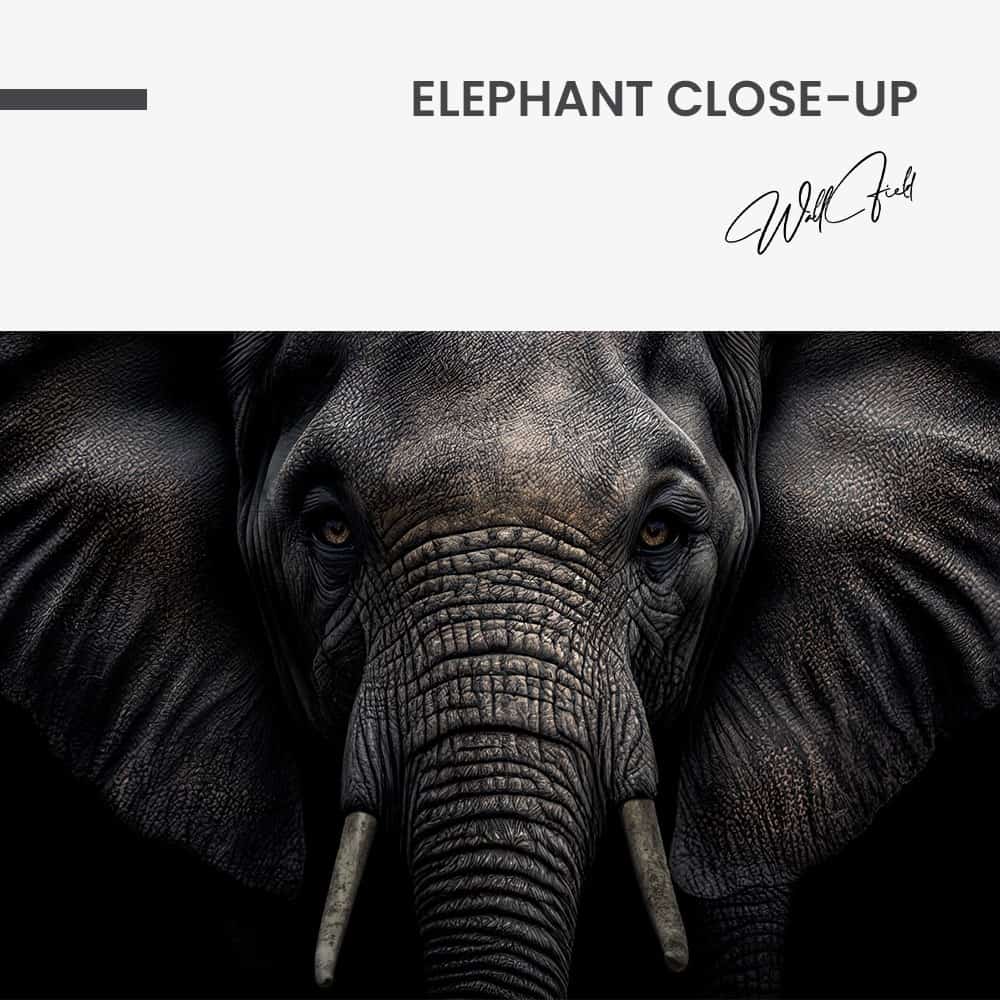 Elephant Close-Up – Verre