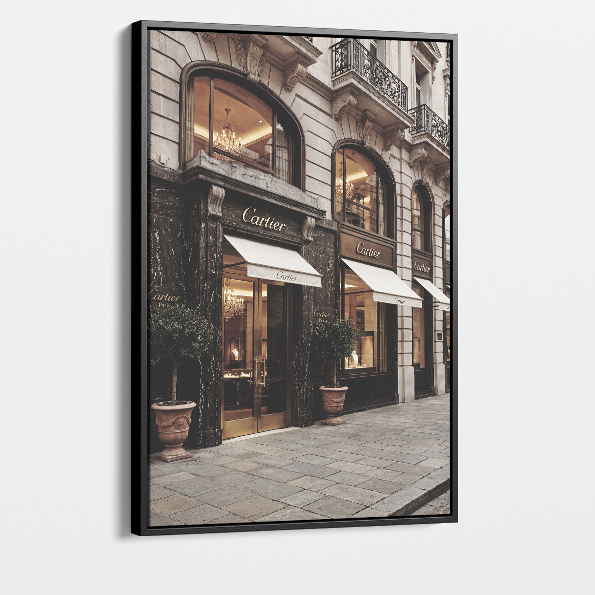 Fashion Store V