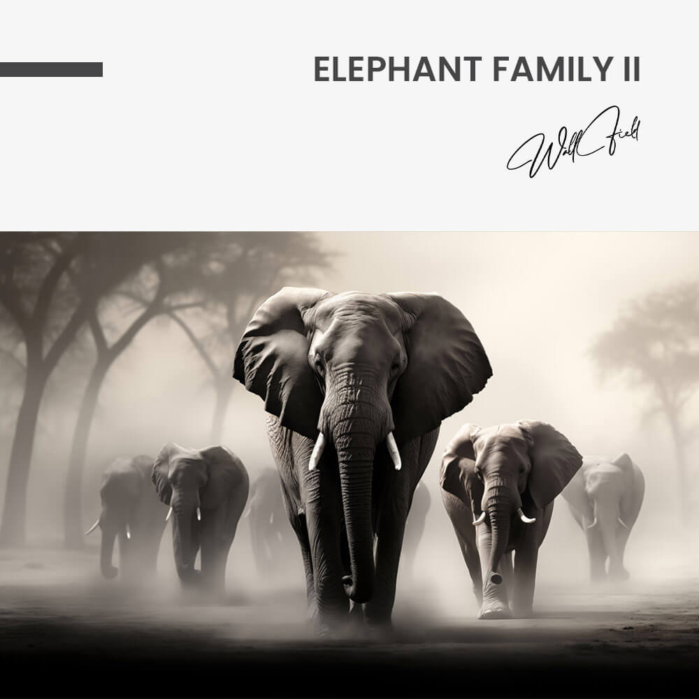 Elephant Family II – Verre