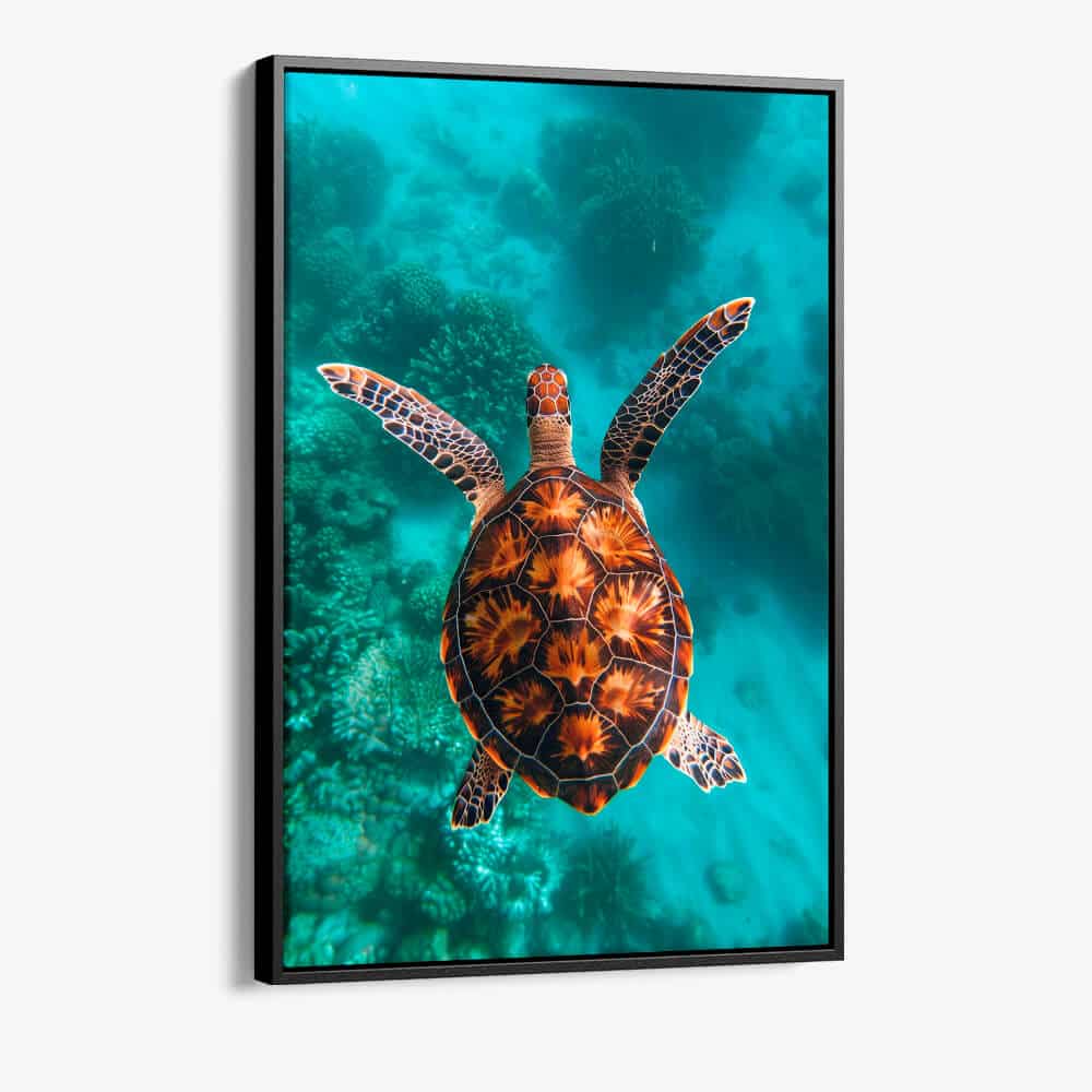 "Sea Turtle VT"