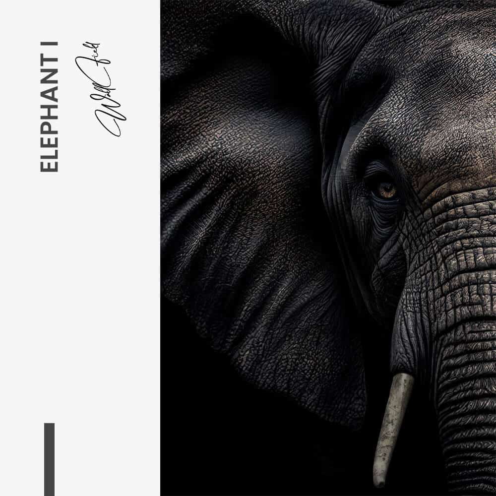 Bundle: "Elephant" (2x) – Verre