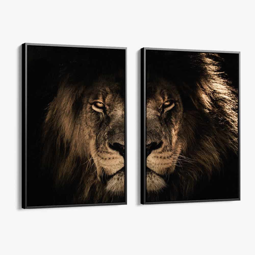 Bundel: Lion in the Dark (2x)