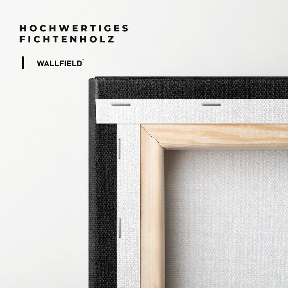 "Duck Money II"