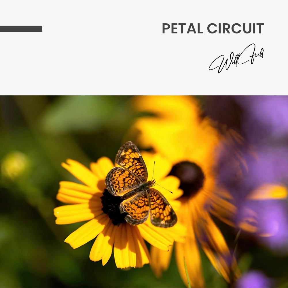 Petal Circuit – Verre
