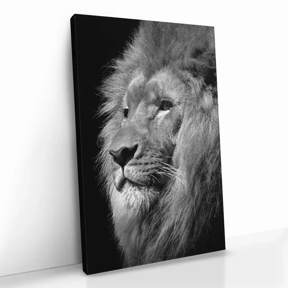"Regal Depth"