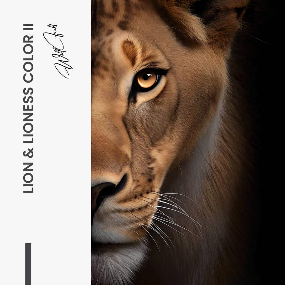Bundle: "Lion & Lioness Color II" (2x) – Verre