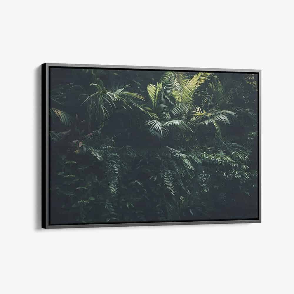Forêt